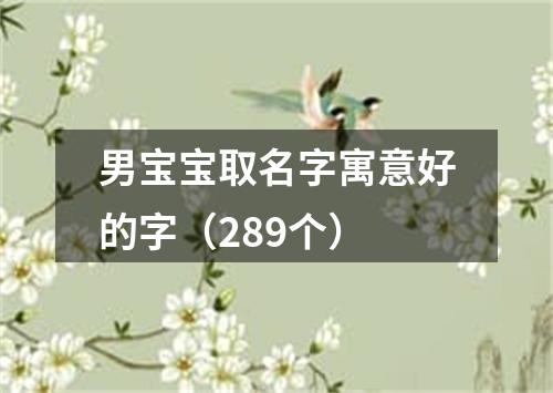 男宝宝取名字寓意好的字（289个）