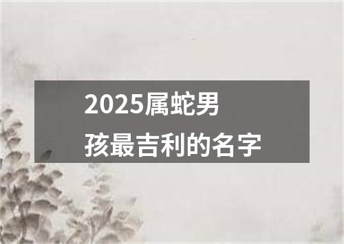 2025属蛇男孩最吉利的名字