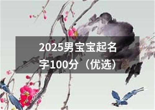 2025男宝宝起名字100分（优选）