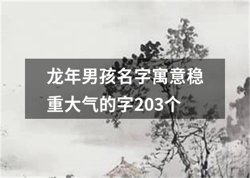 龙年男孩名字寓意稳重大气的字203个