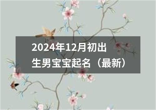 2024年12月初出生男宝宝起名（最新）