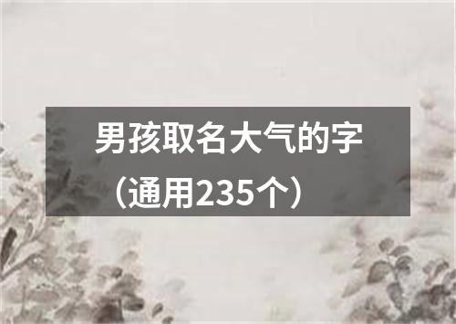 男孩取名大气的字（通用235个）