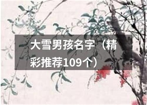 大雪男孩名字（精彩推荐109个）