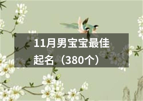 11月男宝宝最佳起名（380个）