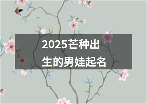 2025芒种出生的男娃起名