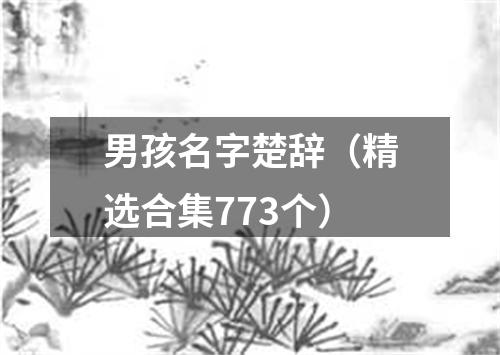 男孩名字楚辞（精选合集773个）