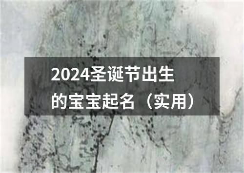 2024圣诞节出生的宝宝起名（实用）