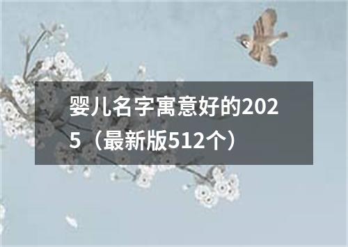 婴儿名字寓意好的2025（最新版512个）