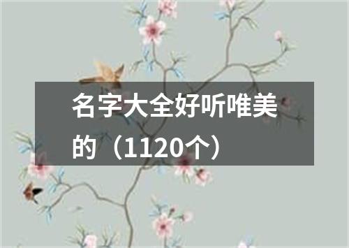 名字大全好听唯美的（1120个）