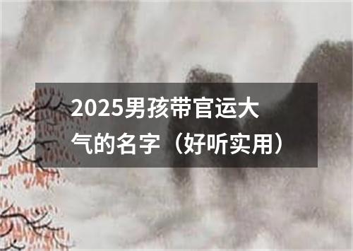 2025男孩带官运大气的名字（好听实用）