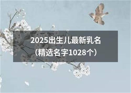 2025出生儿最新乳名（精选名字1028个）