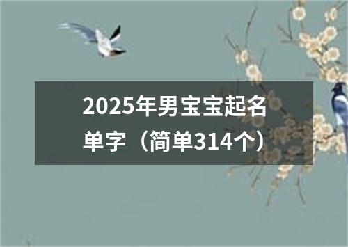 2025年男宝宝起名单字（简单314个）