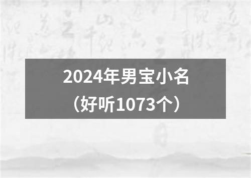 2024年男宝小名（好听1073个）