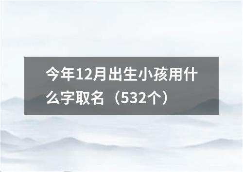 今年12月出生小孩用什么字取名（532个）