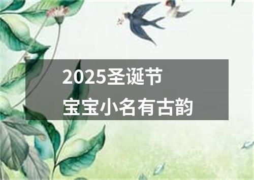 2025圣诞节宝宝小名有古韵