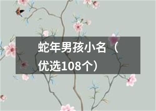 蛇年男孩小名（优选108个）