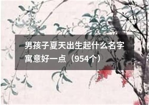 男孩子夏天出生起什么名字寓意好一点（954个）