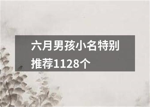 六月男孩小名特别推荐1128个