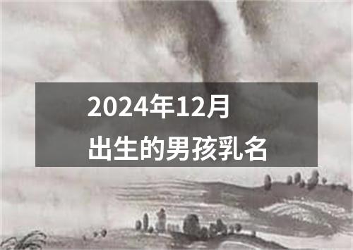 2024年12月出生的男孩乳名