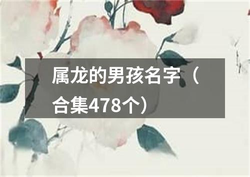 属龙的男孩名字（合集478个）