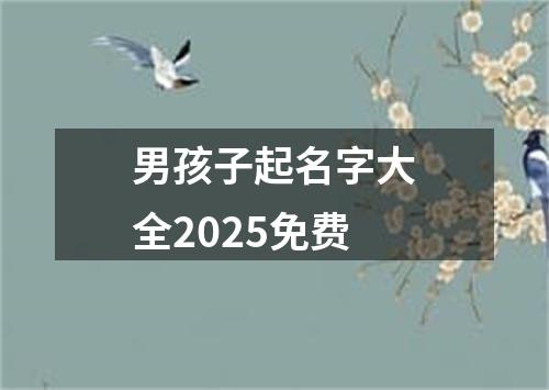 男孩子起名字大全2025免费