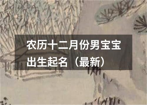 农历十二月份男宝宝出生起名（最新）