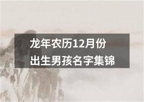 龙年农历12月份出生男孩名字集锦