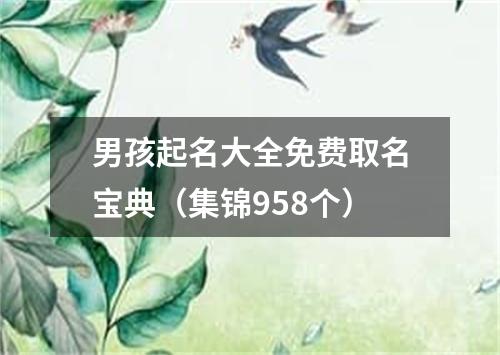 男孩起名大全免费取名宝典（集锦958个）