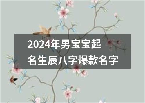 2024年男宝宝起名生辰八字爆款名字