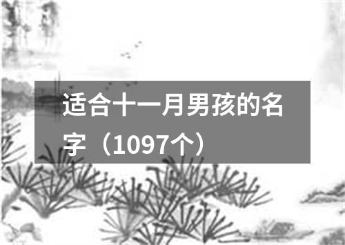 适合十一月男孩的名字（1097个）