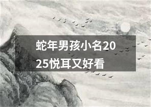 蛇年男孩小名2025悦耳又好看