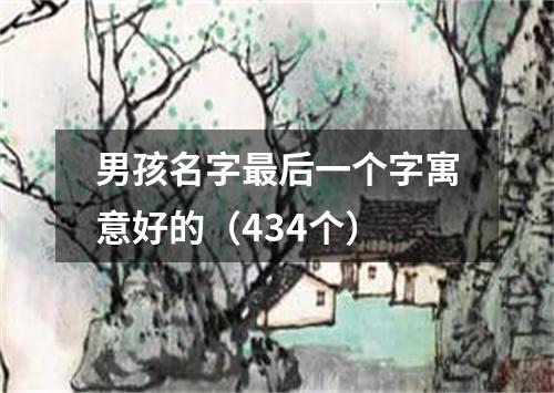 男孩名字最后一个字寓意好的（434个）