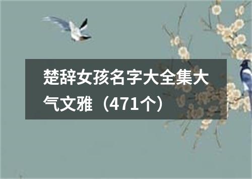 楚辞女孩名字大全集大气文雅（471个）