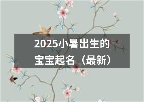 2025小暑出生的宝宝起名（最新）