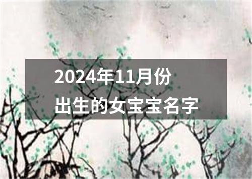 2024年11月份出生的女宝宝名字