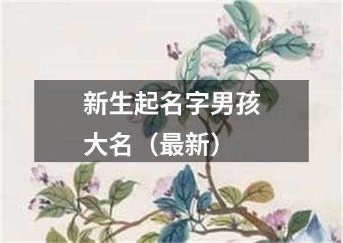 新生起名字男孩大名（最新）