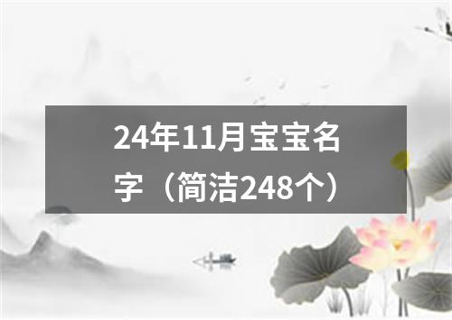 24年11月宝宝名字（简洁248个）