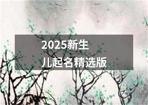 2025新生儿起名精选版