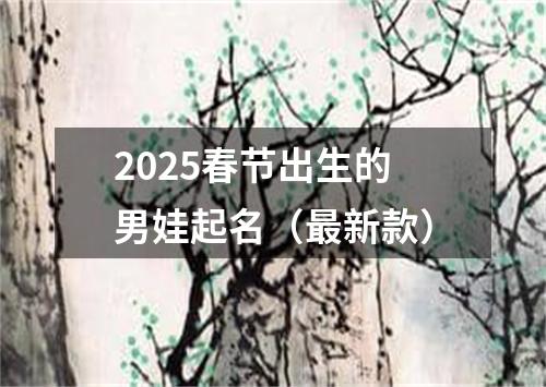 2025春节出生的男娃起名（最新款）