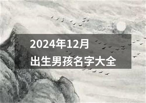 2024年12月出生男孩名字大全