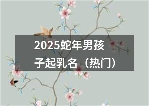 2025蛇年男孩子起乳名（热门）