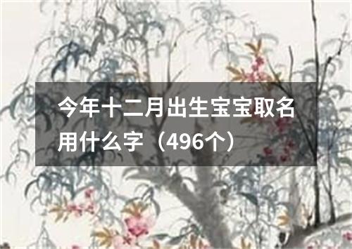 今年十二月出生宝宝取名用什么字（496个）