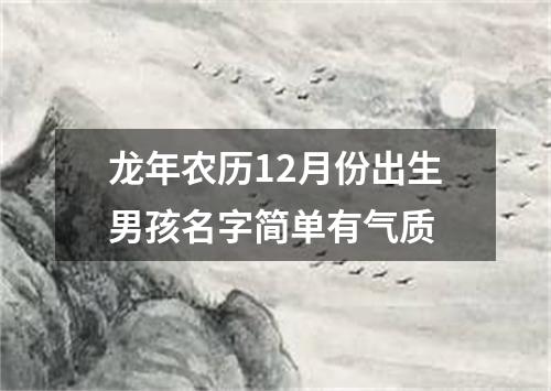 龙年农历12月份出生男孩名字简单有气质