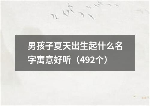 男孩子夏天出生起什么名字寓意好听（492个）