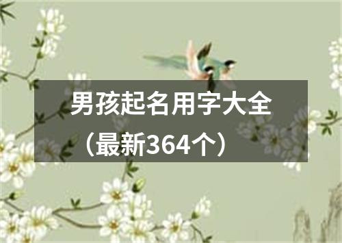 男孩起名用字大全（最新364个）