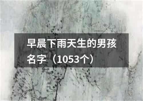 早晨下雨天生的男孩名字（1053个）