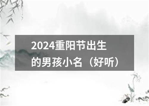 2024重阳节出生的男孩小名（好听）