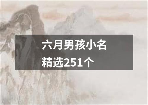 六月男孩小名精选251个