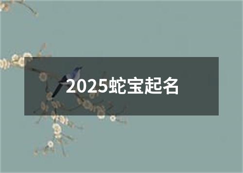 2025蛇宝起名