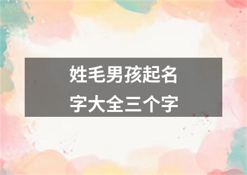 姓毛男孩起名字大全三个字